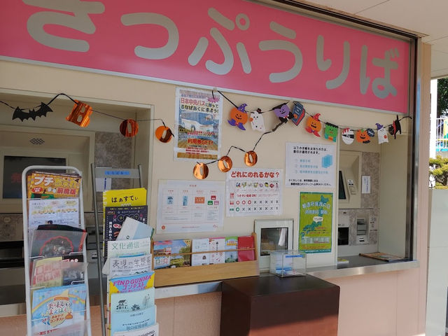 格安すぎる遊園地、何歳になっても楽しめる🤍【前橋市中央児童遊園 るなぱあく】
