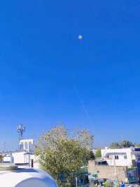 flying kite