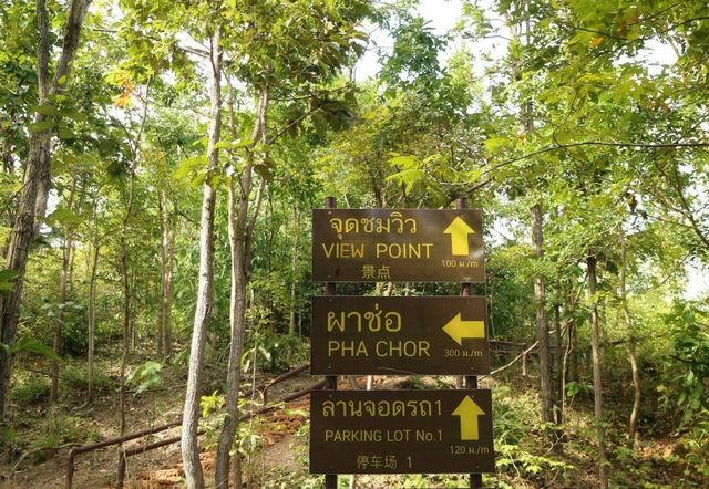 “ผาช่อ” แกรนด์แคนยอนเมืองไทย