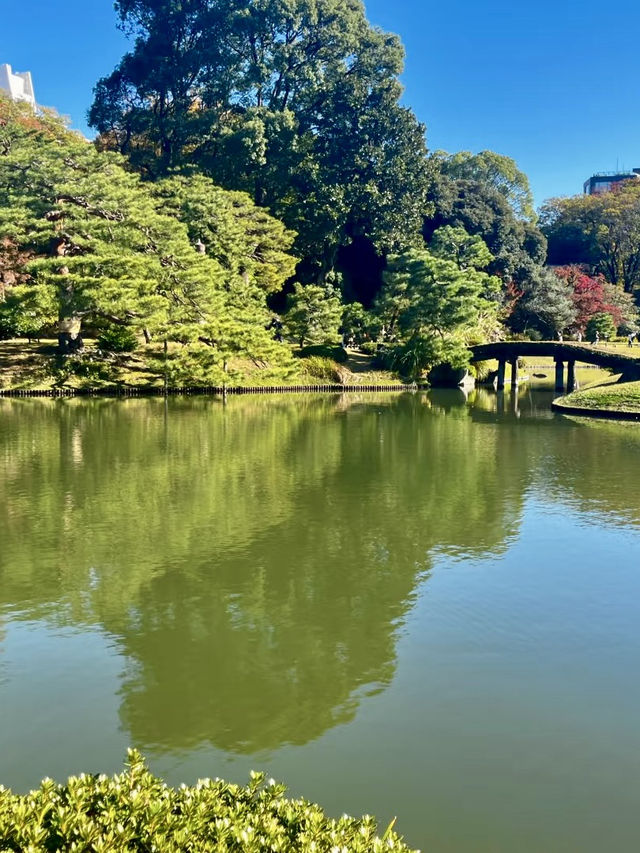 庭園詩畫中的靜謐時光 庭園詩畫中的靜謐時光