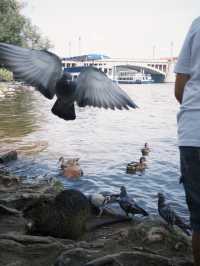 Spring Serenity at Park Cihelna: A Riverside Retreat