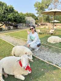 คาเฟ่เพียบ ย่านนิมมาน ใกล้ที่พักสุดๆ