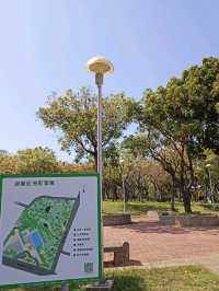 台中沙鹿鎮立公園公園旁的大型籃球場成為年輕人聚集的熱點