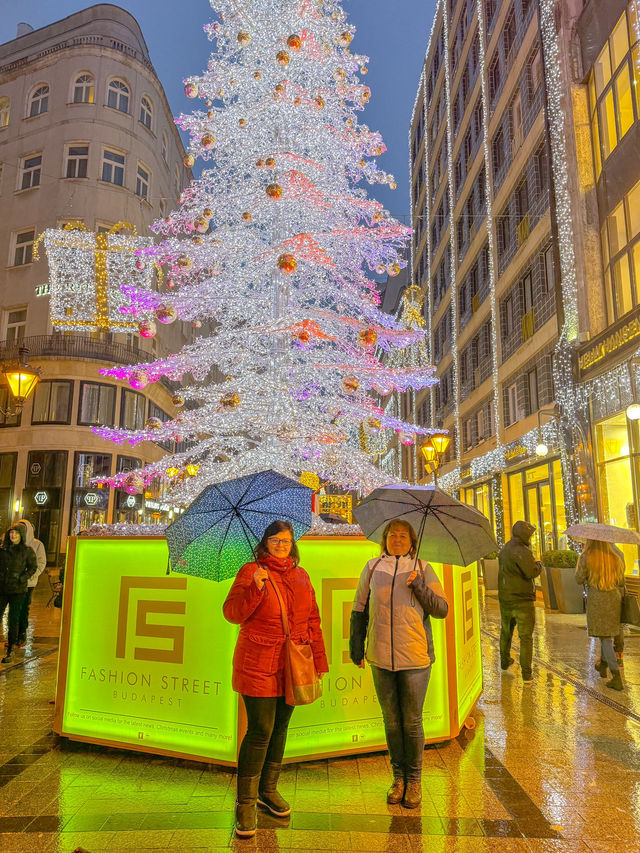 부다페스트의 크리스마스🎄