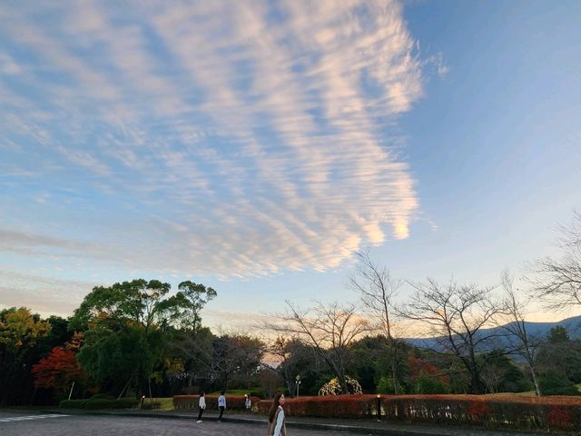 海を眺めながら贅沢ステイ！ヒルトン小田原の魅力