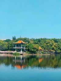 Green landscapes at Longtan Park