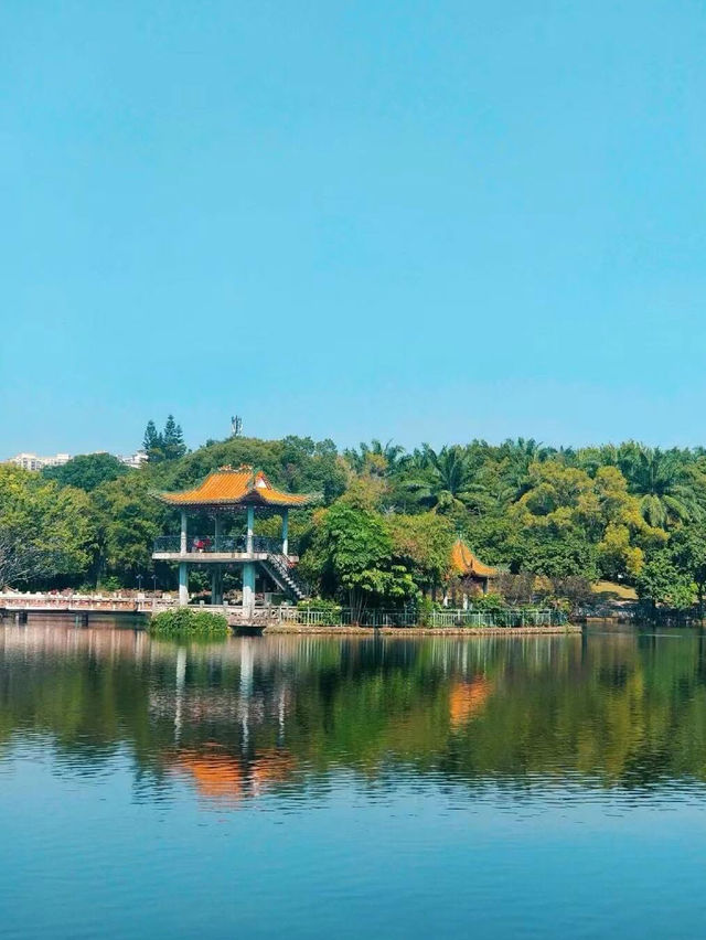 Green landscapes at Longtan Park