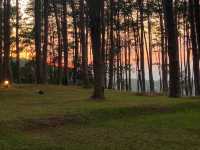 ลานกางเต็นท์กลางป่าสน “สวนป่าดอยบ่อหลวง”
