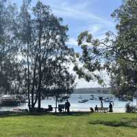 【シドニー】行くならここ行って！Rosebay watsonsbay
