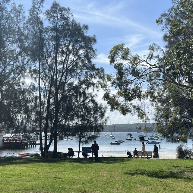【シドニー】行くならここ行って！Rosebay watsonsbay