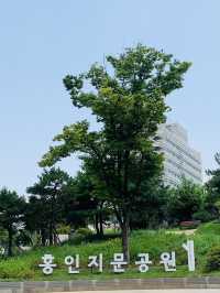 首爾古城巡禮｜興仁之門×東大門歷史公園｜穿越600年的時光隧道 🏮