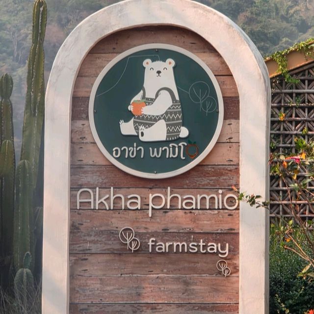 อาข่าพามิโอ้ ที่พัก คาเฟ่ เชียงราย 🛖☕️🏔