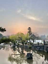 🇯🇵 名古屋最市中心最大賞櫻公園