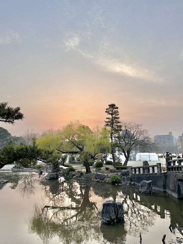 🇯🇵 名古屋最市中心最大賞櫻公園