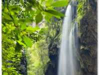 Chongqing Unveiled: From Ancient Rock Carvings to Nature’s Grand Masterpieces