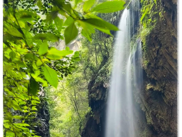 Chongqing Unveiled: From Ancient Rock Carvings to Nature’s Grand Masterpieces