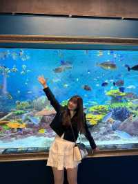 首爾之旅-Coex水族館（聽見你的聲音拍攝地）