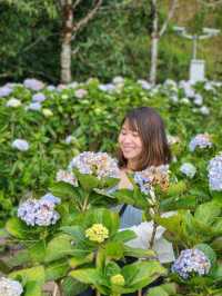 Chiang Mai 4 Days 2 Nights: Doi Suthep – Doi Pui – Doi Inthanon🇹🇭