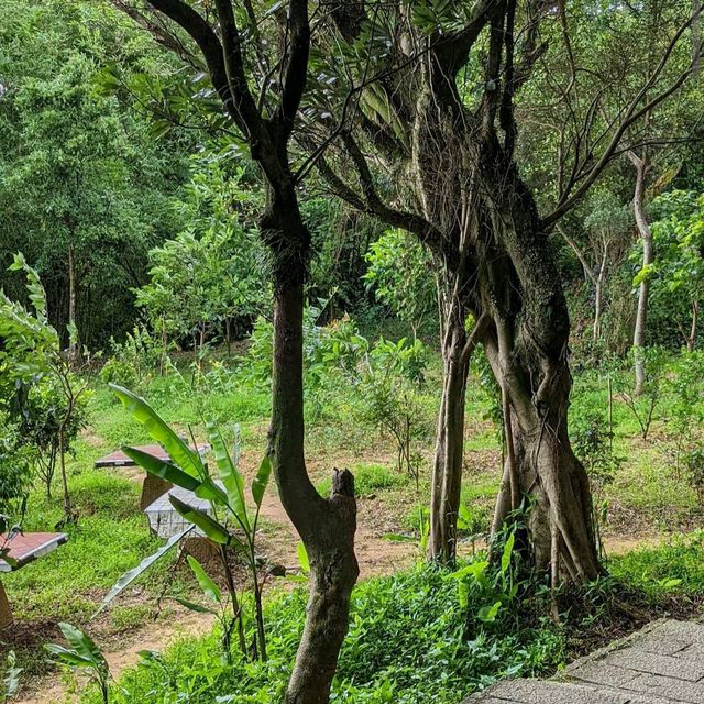 南港山親山步道