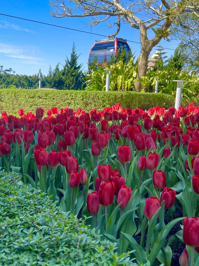 บานาฮิลส์ (Ba Na Hills) – ดินแดนมหัศจรรย์แห่งเวียด