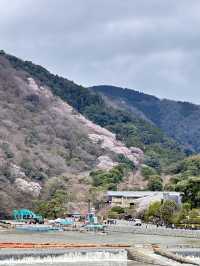 แพลนเที่ยว 1 Day Trip เที่ยวอาราชิยามะ เกียวโต