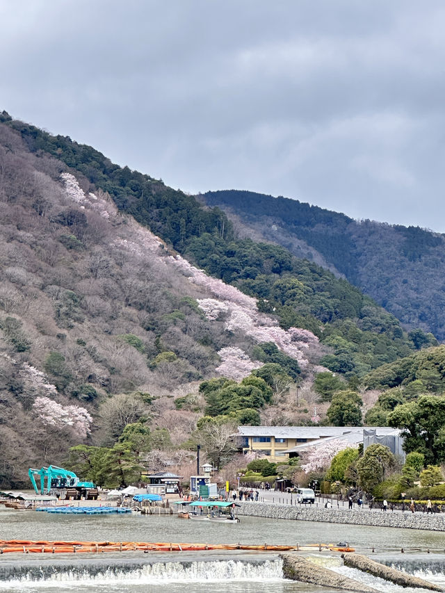แพลนเที่ยว 1 Day Trip เที่ยวอาราชิยามะ เกียวโต