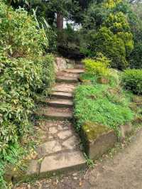 Fletcher Moss Botanical Gardens