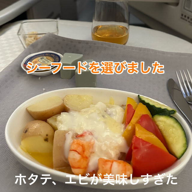 【エバー航空】ビジネスクラスレポ😍