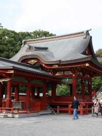 鶴岡八幡宮で感じる鎌倉の歴史と神聖な空気⛩️