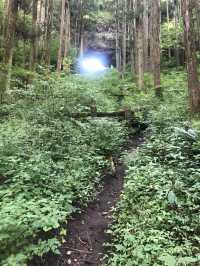 【日本🇯🇵】熊本　上色見熊野座神社