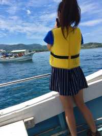 【長崎】400頭のイルカに会えるかも🐬