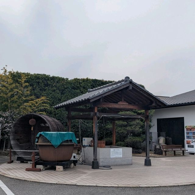 【このお酒飲みやすい】浜福鶴