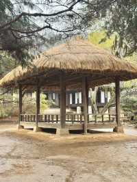 Immerse yourself to a Traditional Korean Culture of Late Joseon Era