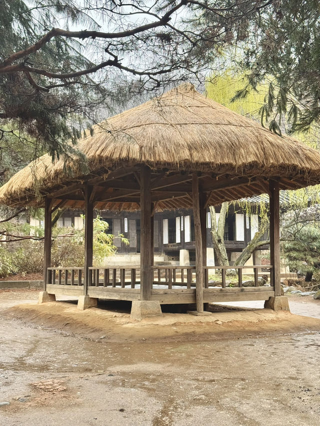 Immerse yourself to a Traditional Korean Culture of Late Joseon Era