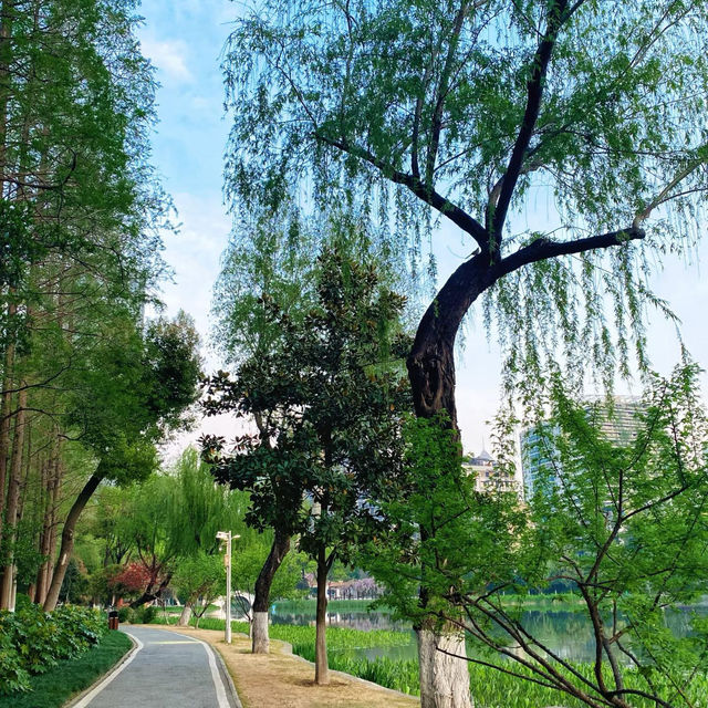 曉港公園~城市中的綠化地帶