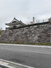 淡くて優しい春｜Taihaku Sakura at Kofu Yumekouji 