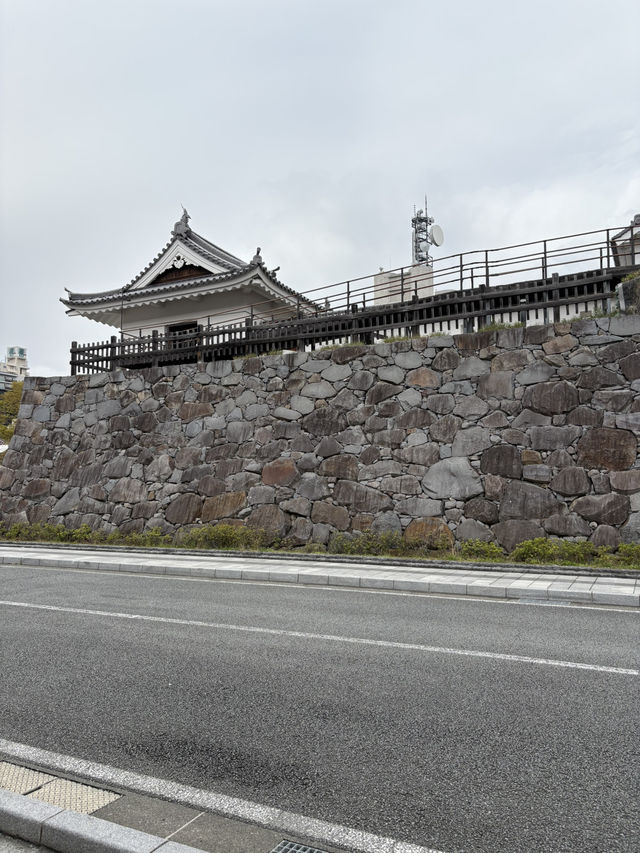 淡くて優しい春｜Taihaku Sakura at Kofu Yumekouji 