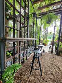SIT UNDER TREE  Special Coffee & Home Roasters