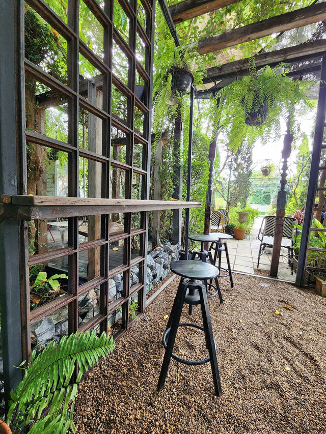 SIT UNDER TREE  Special Coffee & Home Roasters