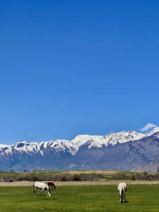 Mesmerising Kyrgystan