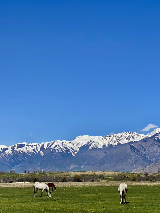 Mesmerising Kyrgystan