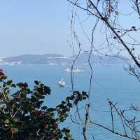 松島空中纜車×海景步道｜貓咪陪你散步的療癒系公園