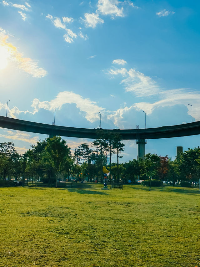 한강뷰 담요 깔고 낮잠 가능 ☀️🧺