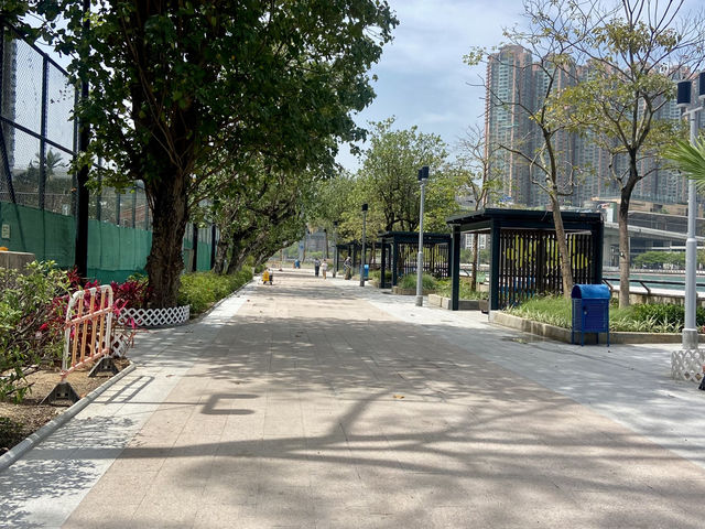 享受陽光溫暖與自然之美☀️🌱荃灣海濱公園✨🌊