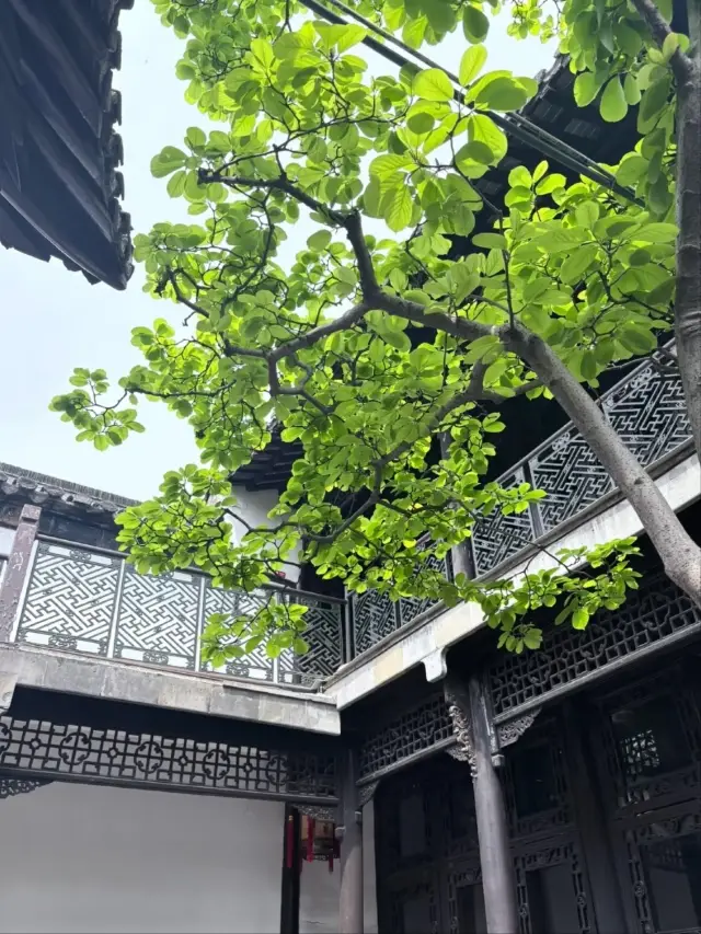 He Garden, Yangzhou- The Versailles of the East 