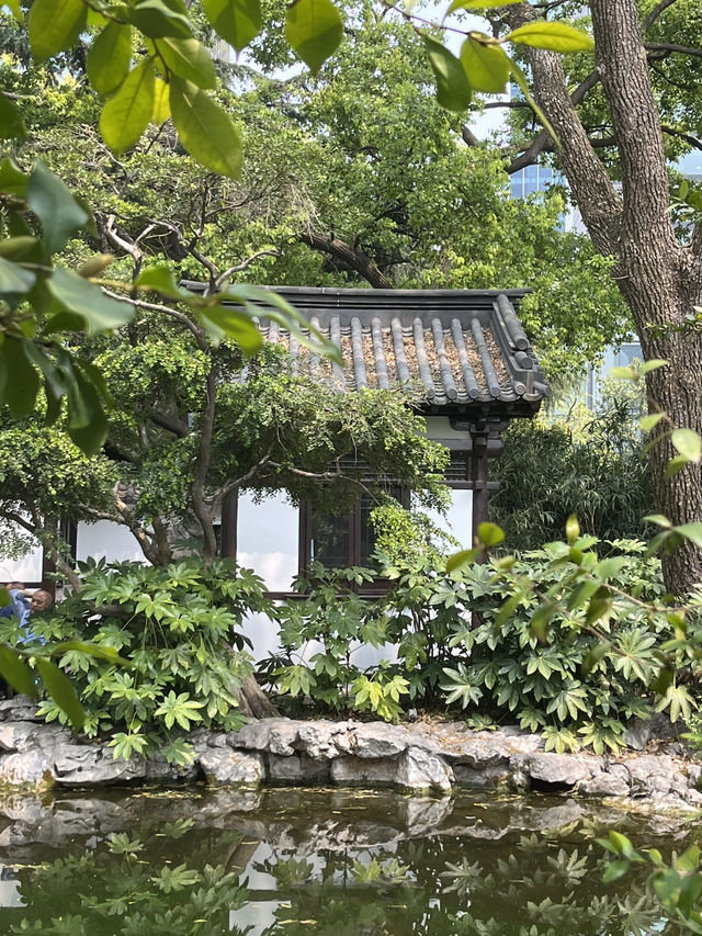 Shanghai | The hidden garden in the centre of city 