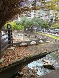 Hot Springs & Hidden Gems in Beitou Park