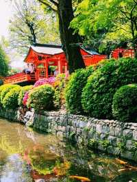 Nezu Shrine Azalea Festival: A Burst of Spring Color in Tokyo