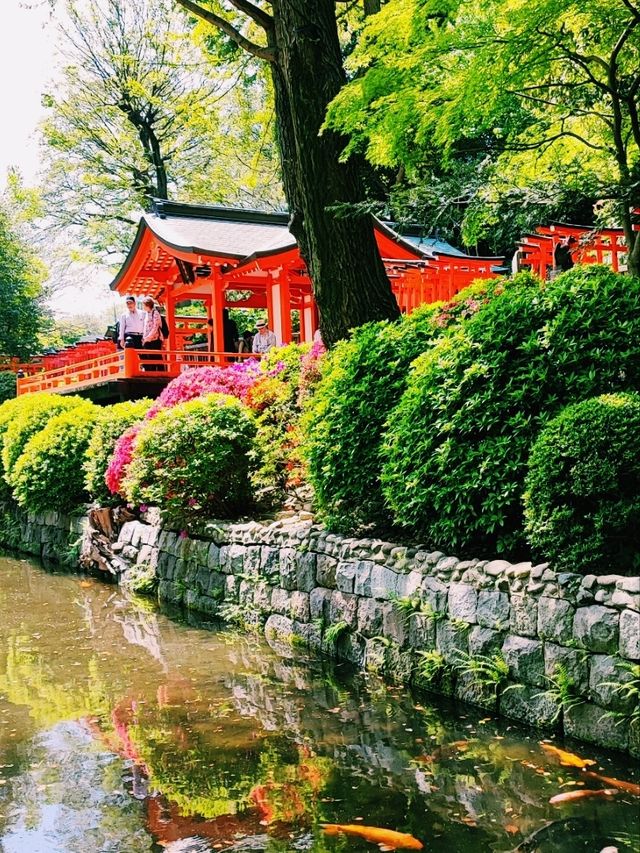 Nezu Shrine Azalea Festival: A Burst of Spring Color in Tokyo