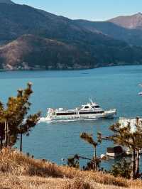 Windy Hill: A Breath of Fresh Spring Air in Geoje 🌬️🌸 